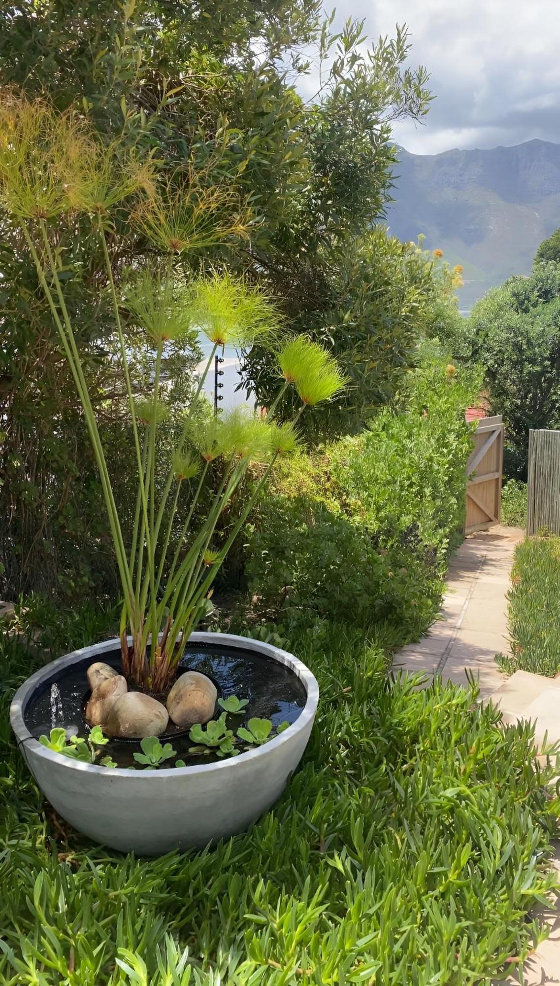 Beautiful View Garden Apartment Кейптаун Екстериор снимка